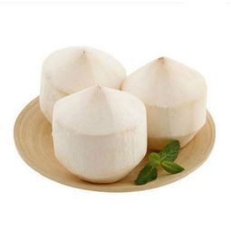 預售 椰青一件 9個裝 進口新鮮椰子甘甜