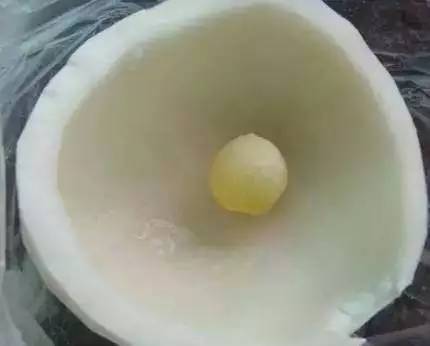 美食 喝了這么多年椰子水,居然不知道椰子這么厲害