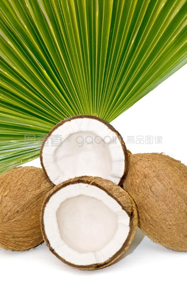 椰子